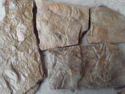 Камень натуральный природный Дракон пластушка песчаник - main